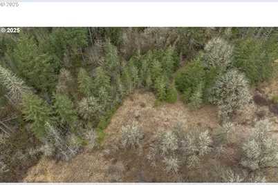 0 NW Panther Creek, Carlton, OR 97111 - Photo 26
