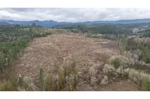 0 NW Panther Creek, Carlton, OR 97111 - Photo 22