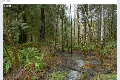 0 NW Panther Creek, Carlton, OR 97111 - Photo 20