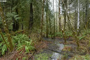 0 NW Panther Creek, Carlton, OR 97111 - Photo 20