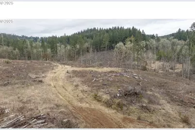 0 NW Panther Creek, Carlton, OR 97111 - Photo 10