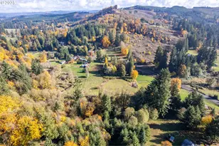 2104 Delameter Rd, Castle Rock, WA 98611 - Photo 12