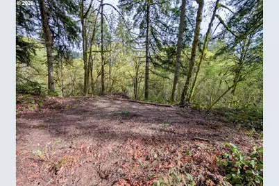 000 NE Finalburg Rd, La Center, WA 98629 - Photo 4