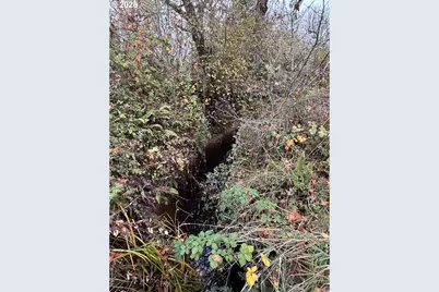 Battle Creek Rd, Eugene, OR 97402 - Photo 2