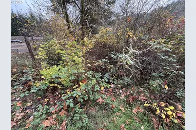 Battle Creek Rd, Eugene, OR 97402 - Photo 4