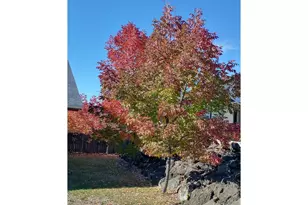 1944 NE Sunset Loop Dr, Roseburg, OR 97470 - Photo 22