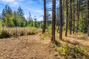 24615 NW Pederson Rd, Hillsboro, OR 97124 - Photo 36