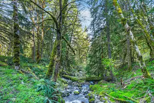 18685 E Aschoff Rd, Rhododendron, OR 97049 - Photo 40