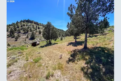 Luce Creek Rd, John Day, OR 97845 - Photo 4
