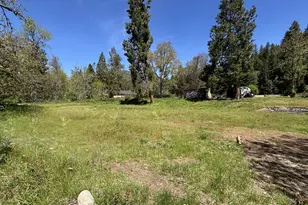 34953 Tiller Trail Hwy, Tiller, OR 97484 - Photo 36