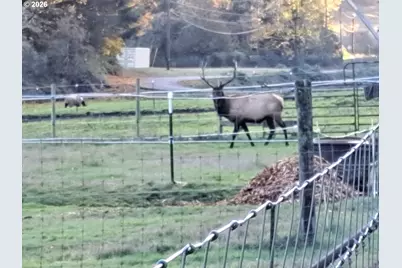 89009 Condon Creek Rd, Florence, OR 97439 - Photo 30