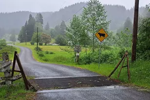 89009 Condon Creek Rd, Florence, OR 97439 - Photo 46