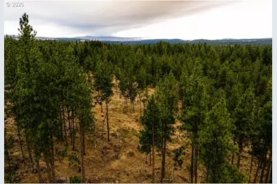 16 Indian Hill Trl, Goldendale, WA 98620 - Photo 8