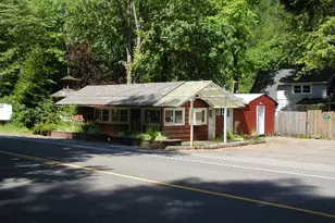 49631 McKenzie Hwy, Vida, OR 97488 - Photo 6