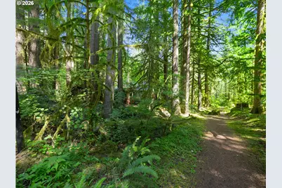 26811 E Road 15 Lot 5, Rhododendron, OR 97049 - Photo 42