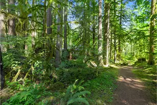 26811 E Rd 15 Lot 5, Rhododendron, OR 97049 - Photo 42