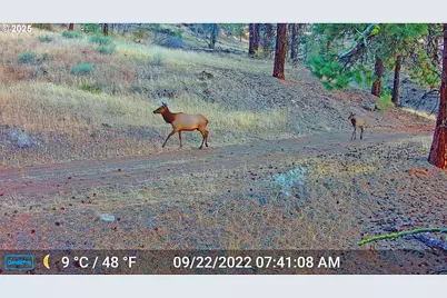 45469 Wall Creek Rd, Monument, OR 97864 - Photo 44