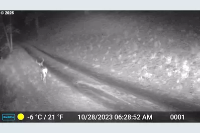 45469 Wall Creek Rd, Monument, OR 97864 - Photo 48