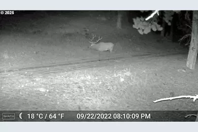 45469 Wall Creek Rd, Monument, OR 97864 - Photo 46