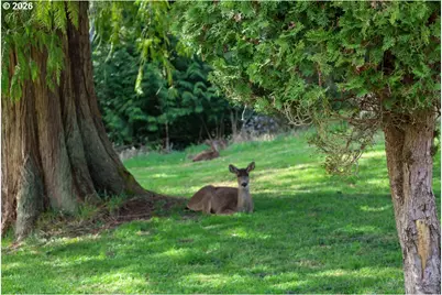 515 Rugh Ln, Lakeside, OR 97449 - Photo 28