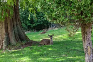 515 Rugh Ln, Lakeside, OR 97449 - Photo 28