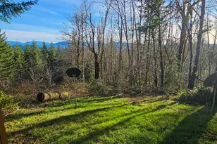 43911 NE Columbia Tie Rd, Amboy, WA 98601 - Photo 36