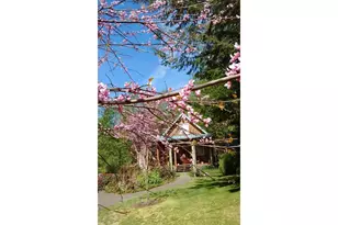 43911 NE Columbia Tie Rd, Amboy, WA 98601 - Photo 8