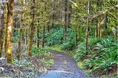 0 S Hwy 42, Coquille, OR 97423 - Photo 32
