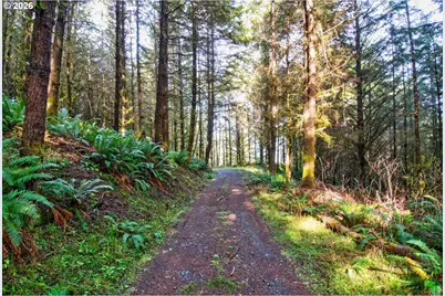 0 S Hwy 42, Coquille, OR 97423 - Photo 14