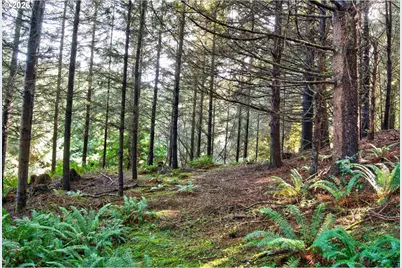 0 S Hwy 42, Coquille, OR 97423 - Photo 24