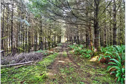 0 S Hwy 42, Coquille, OR 97423 - Photo 6