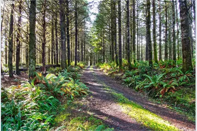 0 S Hwy 42, Coquille, OR 97423 - Photo 8