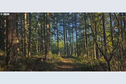 55240 McDonald Rd, Vernonia, OR 97064 - Photo 10