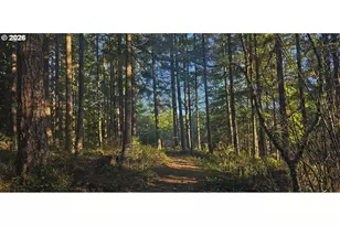 55240 McDonald Rd, Vernonia, OR 97064 - Photo 10