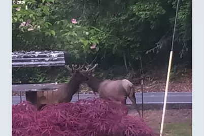 55240 McDonald Rd, Vernonia, OR 97064 - Photo 14