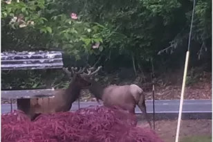 55240 McDonald Rd, Vernonia, OR 97064 - Photo 14