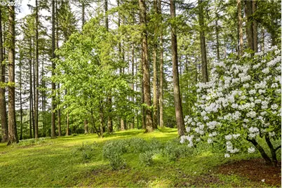 32575 NE Poison Oak Ln, Newberg, OR 97132 - Photo 40