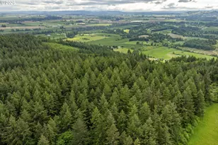 32575 NE Poison Oak Ln, Newberg, OR 97132 - Photo 48