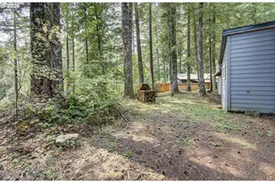 38013 NE Sunset Falls Rd, Yacolt, WA 98675 - Photo 24