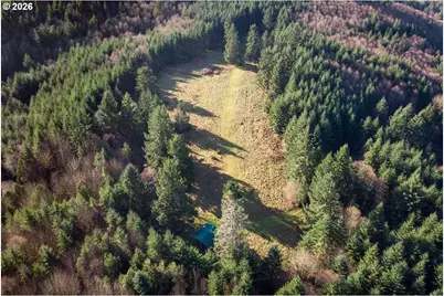 0 Bishop Creek Rd, Deer Island, OR 97054 - Photo 10