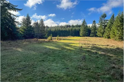 0 Bishop Creek Rd, Deer Island, OR 97054 - Photo 8