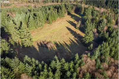 0 Bishop Creek Rd, Deer Island, OR 97054 - Photo 26