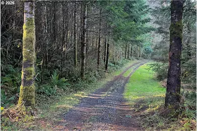 0 Bishop Creek Rd, Deer Island, OR 97054 - Photo 6