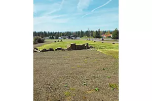 337 S County Rd, Wamic, OR 97063 - Photo 28