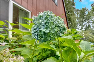 58610 E Hwy 26, Sandy, OR 97055 - Photo 44