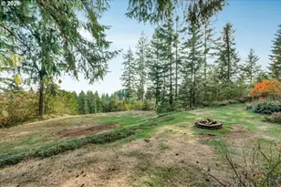 25904 NE 150th Way, Brush Prairie, WA 98606 - Photo 42