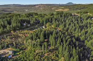 25904 NE 150th Way, Brush Prairie, WA 98606 - Photo 48