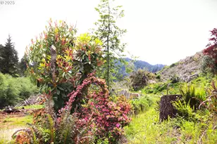 68814 W Fork Millicoma Rd, Coos Bay, OR 97420 - Photo 16