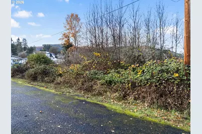 02 Roosevelt St, Mineral, WA 98355 - Photo 8