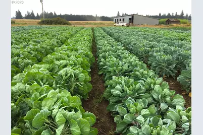 8962 S Heinz Rd, Canby, OR 97013 - Photo 34